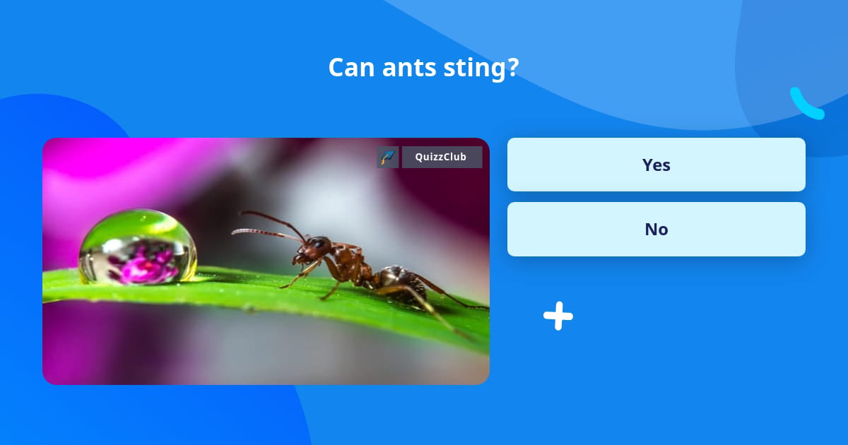 Can Ants Sting Trivia Questions QuizzClub