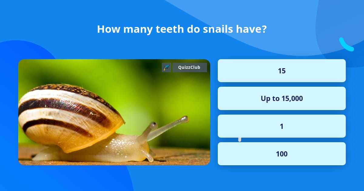 How many teeth do snails have? Trivia Answers