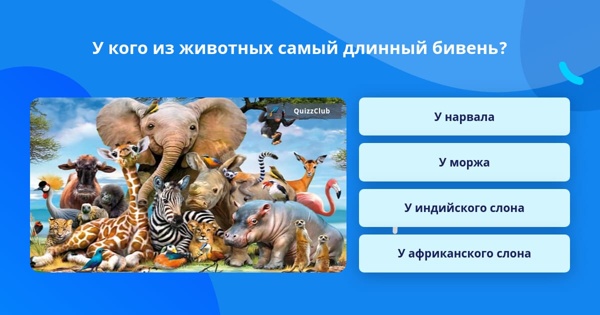 Кто такой из животных. Кто такой из животных