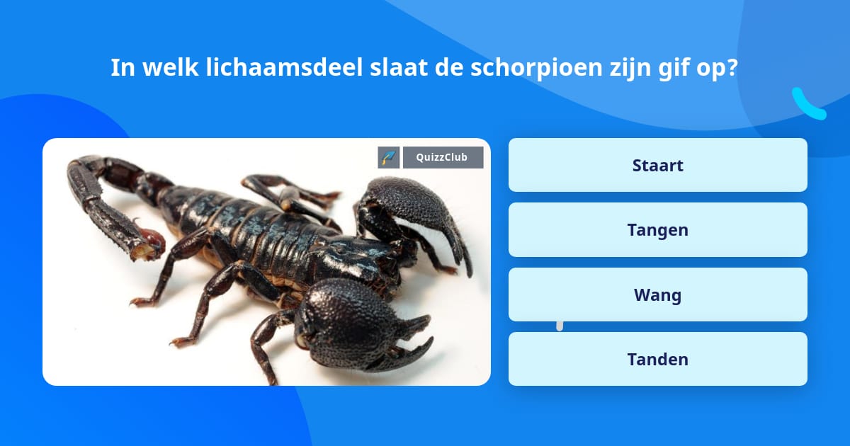In welk lichaamsdeel slaat de... Trivia Vragen