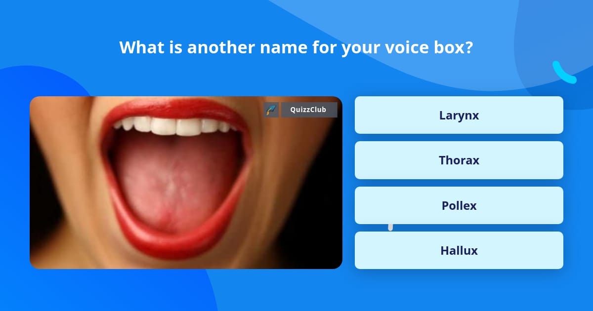 what-is-another-name-for-your-voice-box-trivia-questions