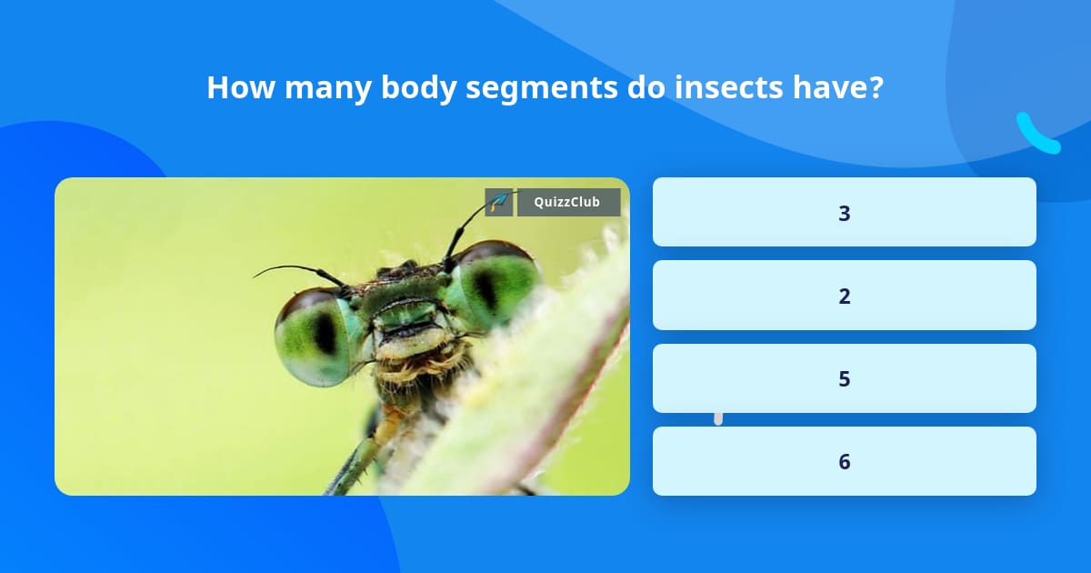 how-many-body-segments-do-insects-have-trivia-questions-quizzclub