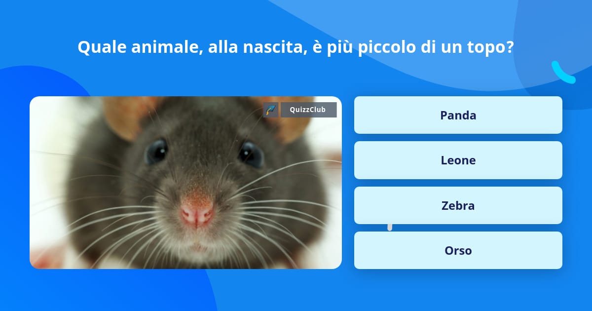 Quale animale, alla nascita, è più...