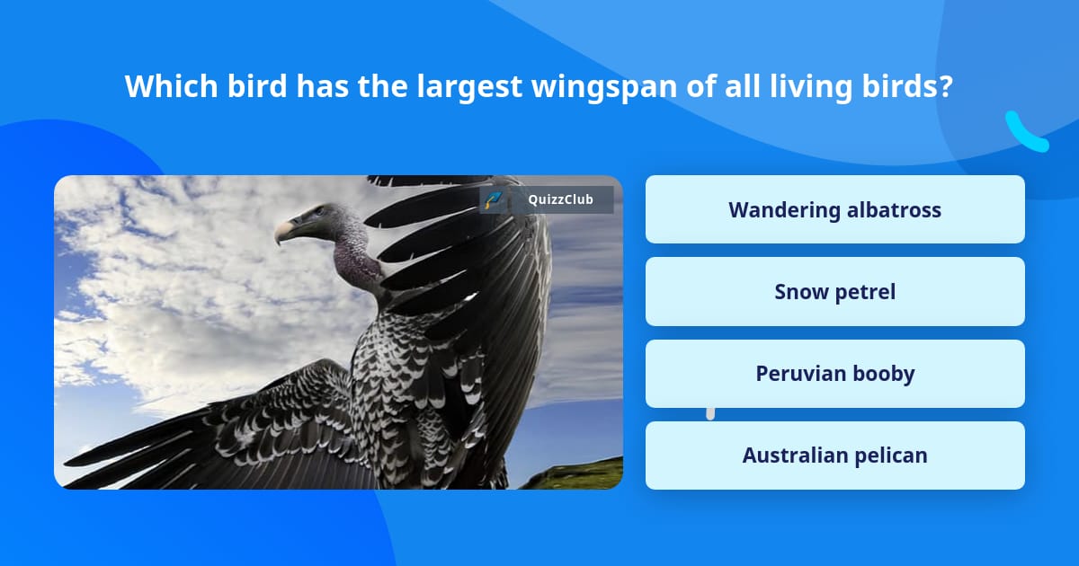 which-bird-has-the-largest-wingspan-trivia-questions-quizzclub