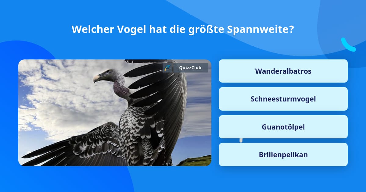 Welcher Vogel hat die größte Spannweite?