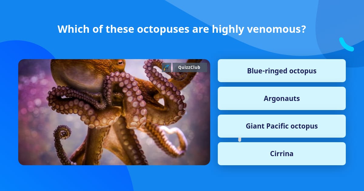 Which of these octopuses are highly... | Trivia Answers | QuizzClub