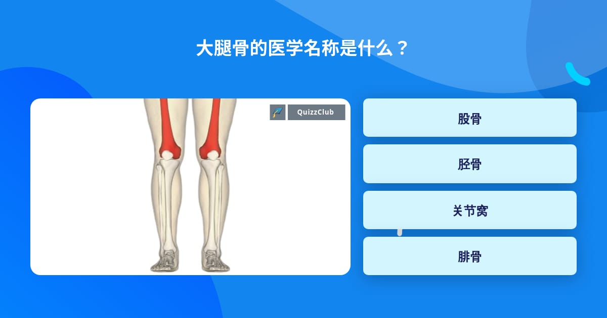 大腿骨的医学名称是什么 小问题 Quizzclub