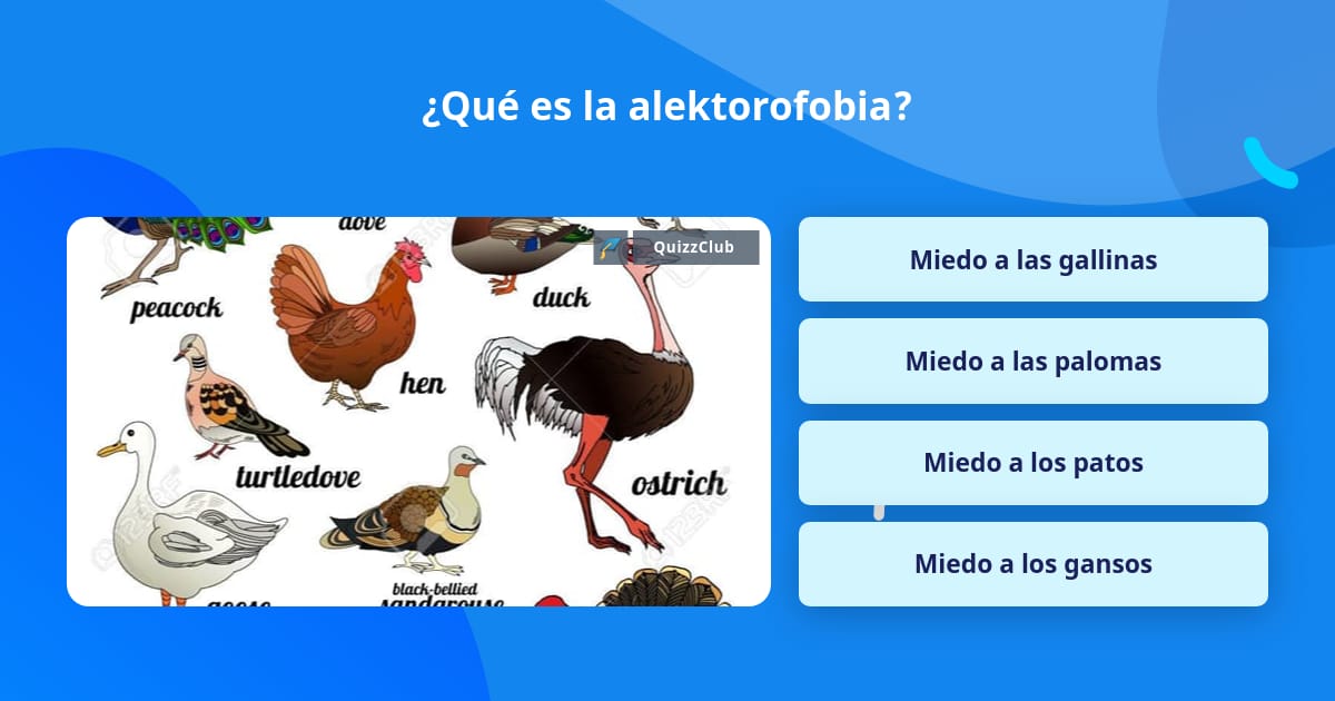 Qué es la alektorofobia? | La respuesta de Trivia | QuizzClub