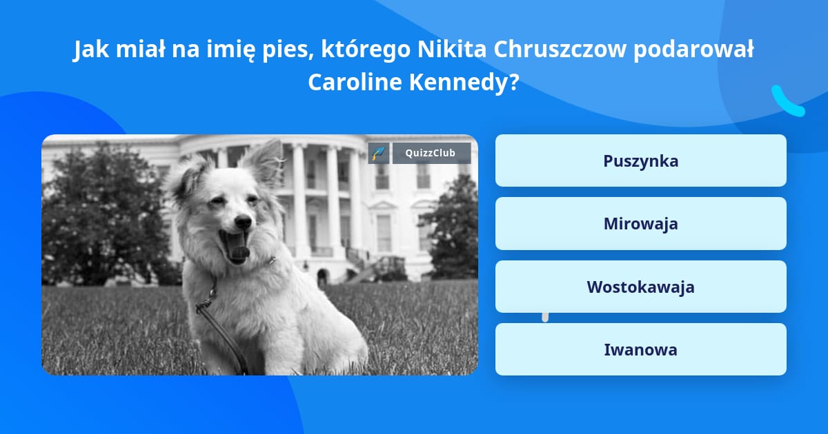 Quiz Jak Będzie Miał Na Imię Twój Mąż Jak miał na imię pies, którego... | Odpowiedzi na pytania | QuizzClub
