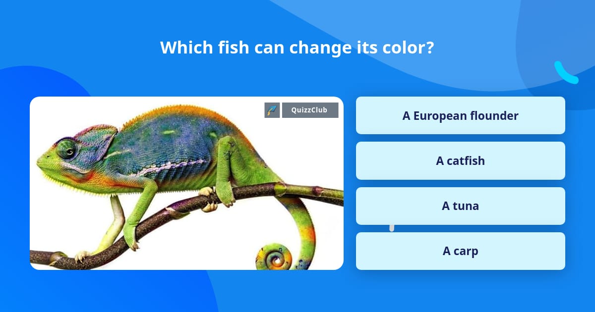 Which fish can change its color? | Trivia Questions | QuizzClub