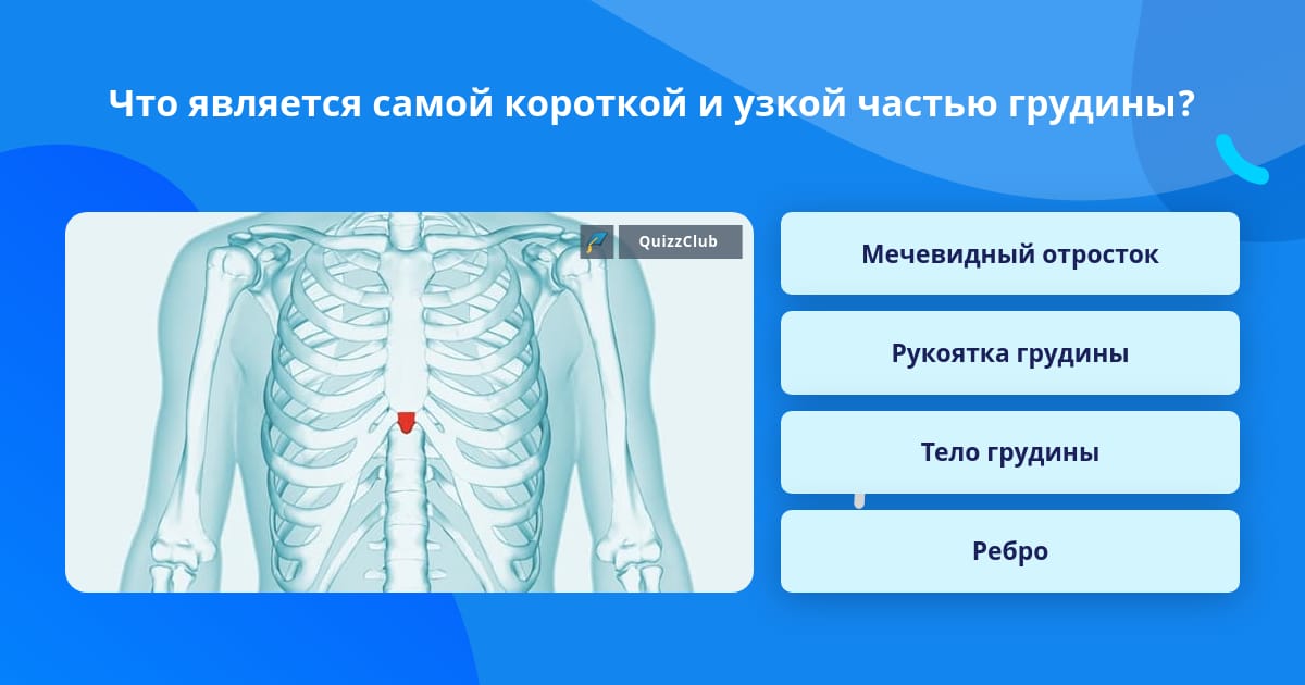 Мечевидный отросток что это