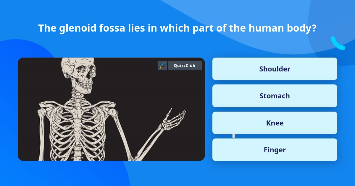 The glenoid fossa lies in which part... | Trivia Questions | QuizzClub