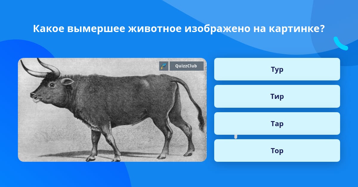 Определи какое животное на нем изображено. Определи какое животное на нем изображено. Укажи название животного изображённого на рисунке. Сколько животных спряталось. Это изображение животного характерного для этой страны ответы.