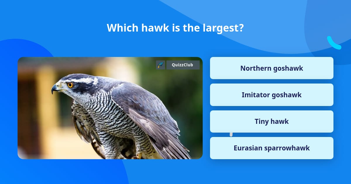 Which hawk is the largest? | Trivia Questions | QuizzClub
