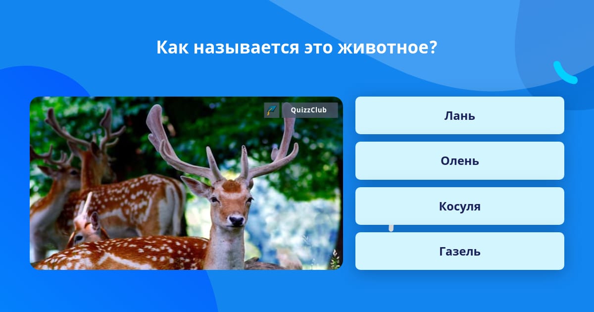 Название этого животного переводится как «речная лошадка». Волки с надписями. Нет страшнее зверя чем человек. Переводе с греческого языка это животное называется речная лошадь. Медоед прикол.