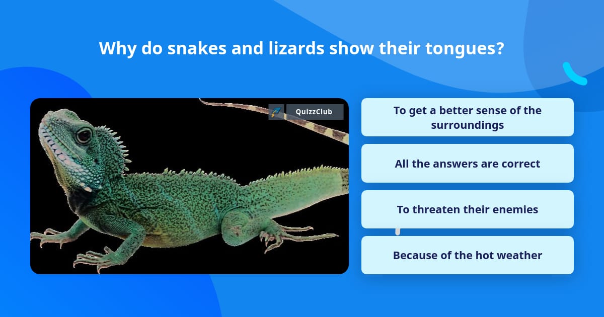 Lizard Questions Why do snakes and lizards show their... | Trivia Questions | QuizzClub