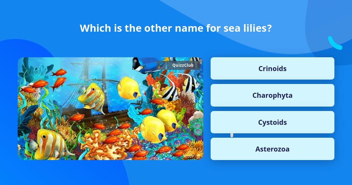 which-is-the-other-name-for-sea-lilies-trivia-questions-quizzclub