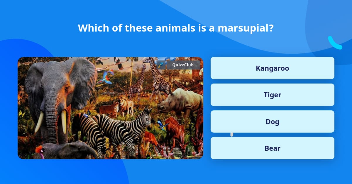 Which of these animals is a marsupial? | Trivia Questions | QuizzClub