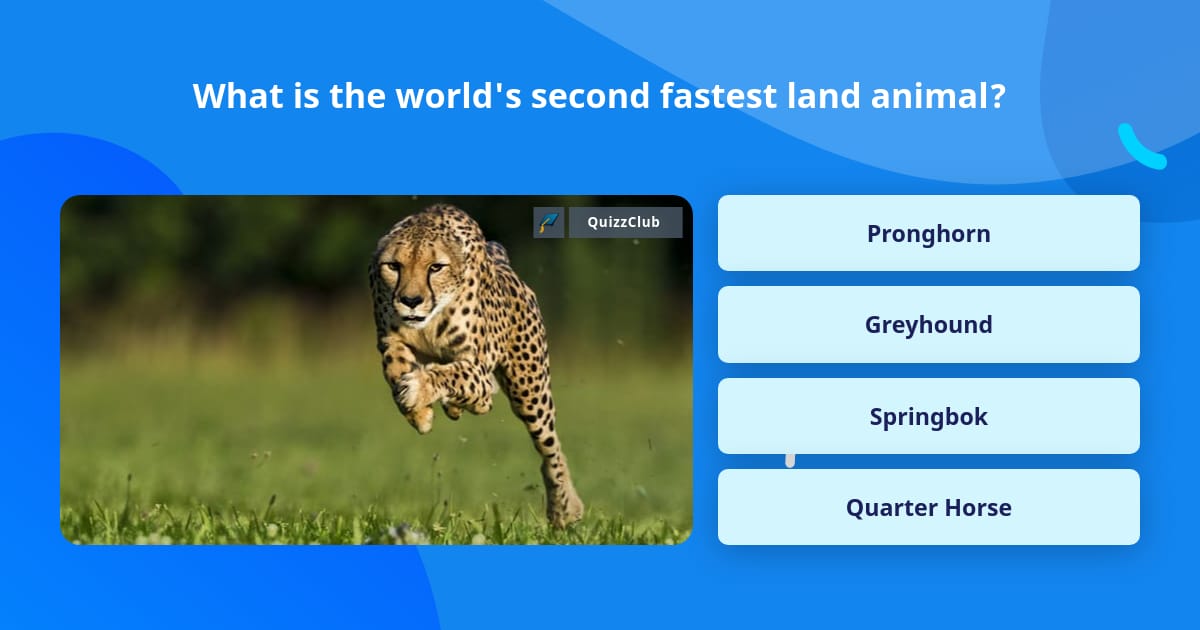 What is the world's second fastest... | Trivia Answers | QuizzClub