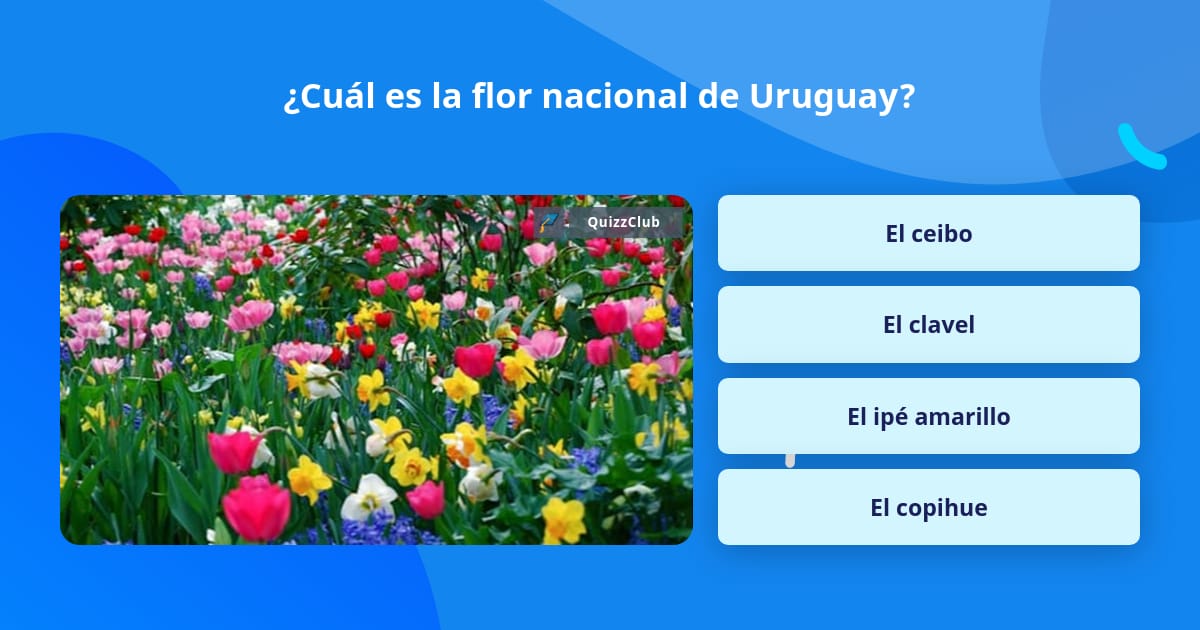 Cuál es la flor nacional de Uruguay? | La respuesta de Trivia |