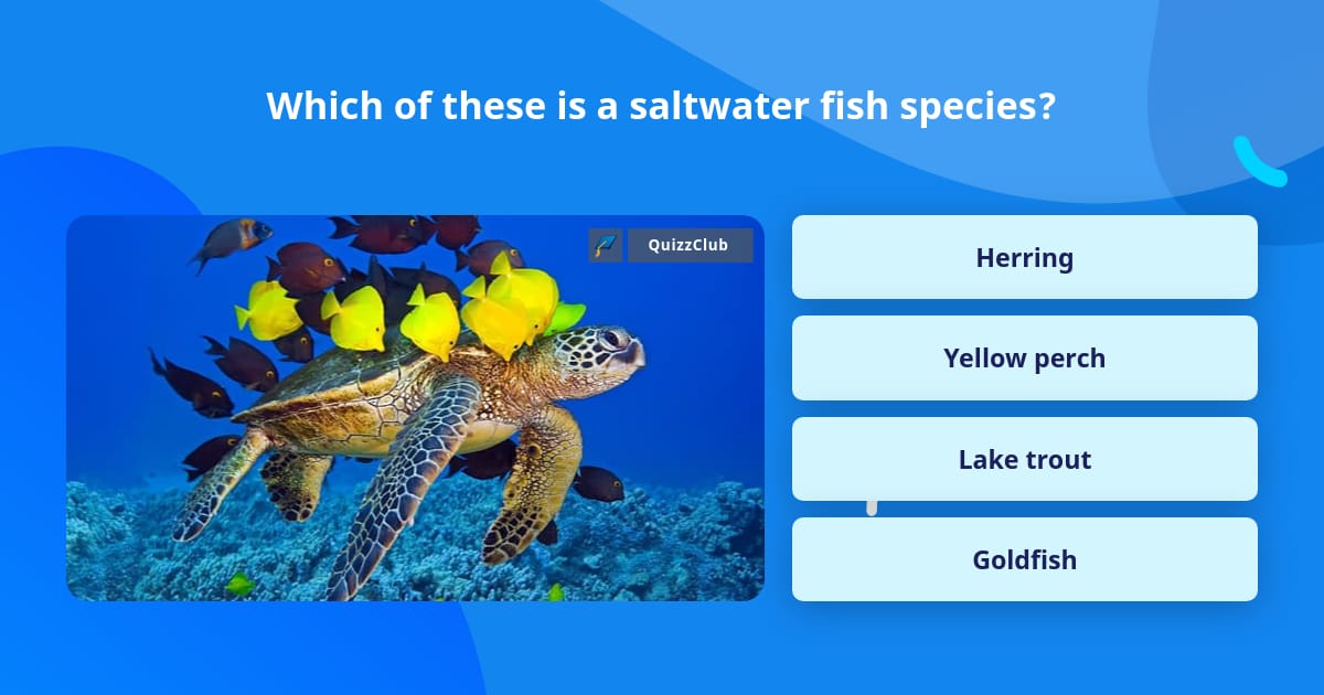 Which of these is a saltwater fish... Trivia Answers