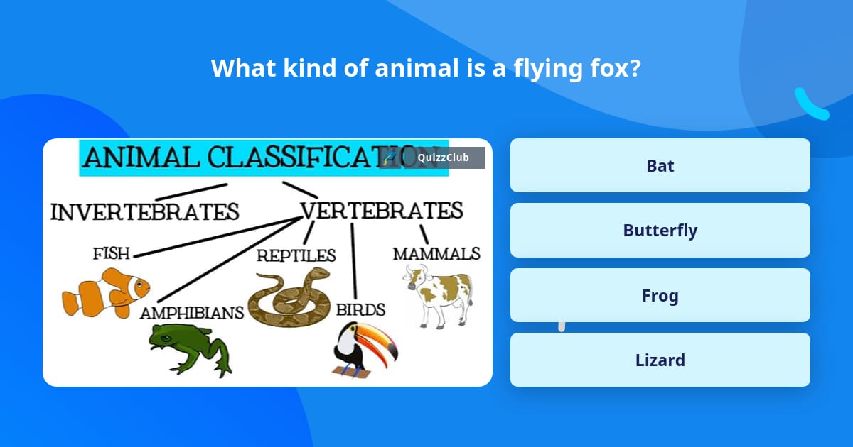 What Kind Of Animal Is A Flying Fox