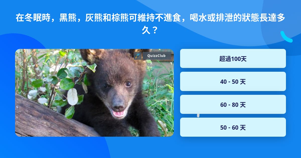 在冬眠時 黑熊 灰熊和棕熊可維持不進食 喝水或排泄的狀態長達多久 問題答案 Quizzclub