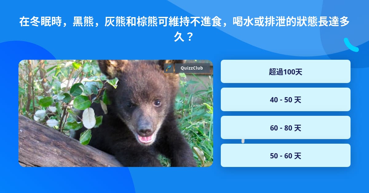 在冬眠時 黑熊 灰熊和棕熊可維持不進食 喝水或排泄的狀態長達多久 問題答案 Quizzclub 在冬眠時 黑熊 灰熊和棕熊可維持不進食 喝水或排泄的狀態長達多久 問題答案 Quizzclub