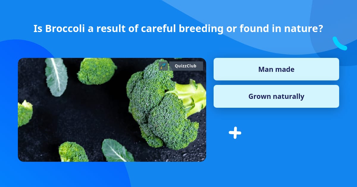Is Broccoli a result of careful... | Trivia Answers | QuizzClub