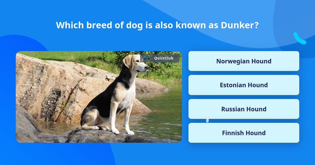 what is the breed of dunker