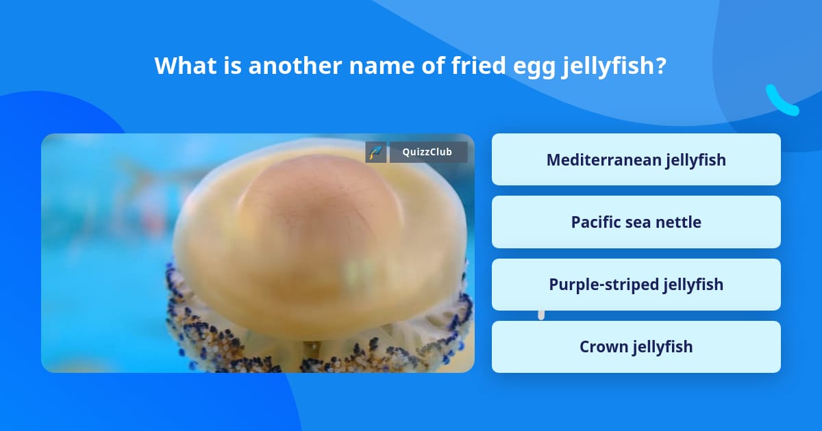 what-is-another-name-of-fried-egg-trivia-questions-quizzclub