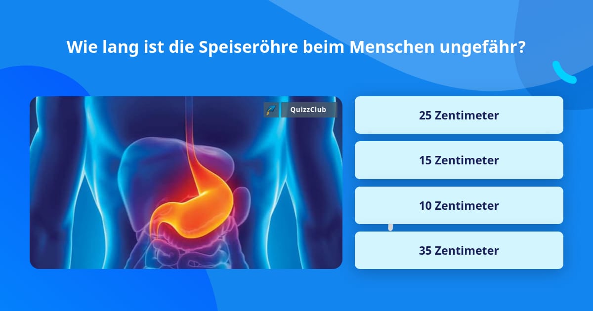 Wie lang ist die Speiseröhre beim... Quizfragen