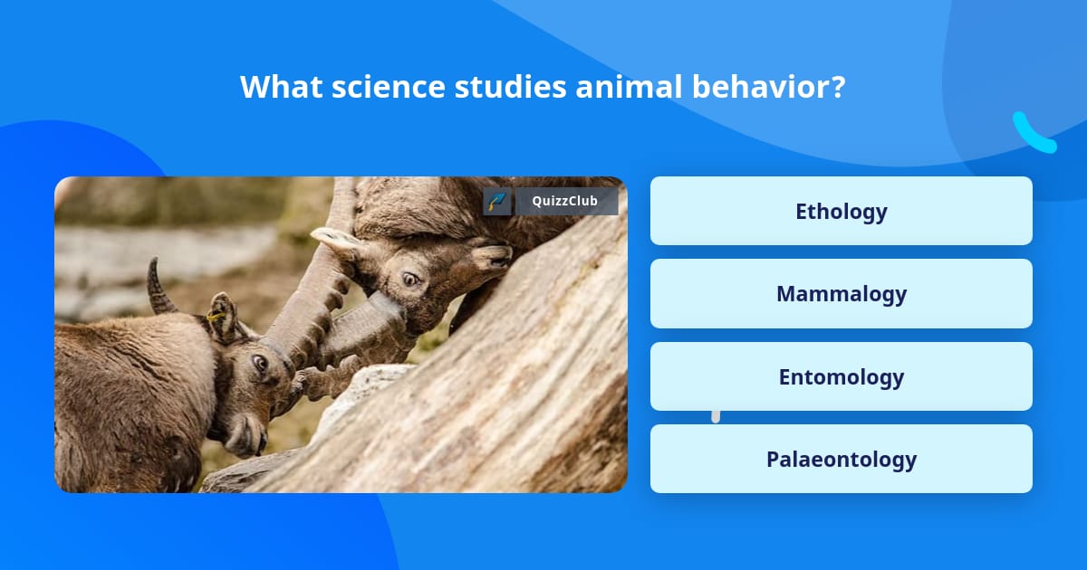 what-science-studies-animal-behavior-trivia-answers-quizzclub