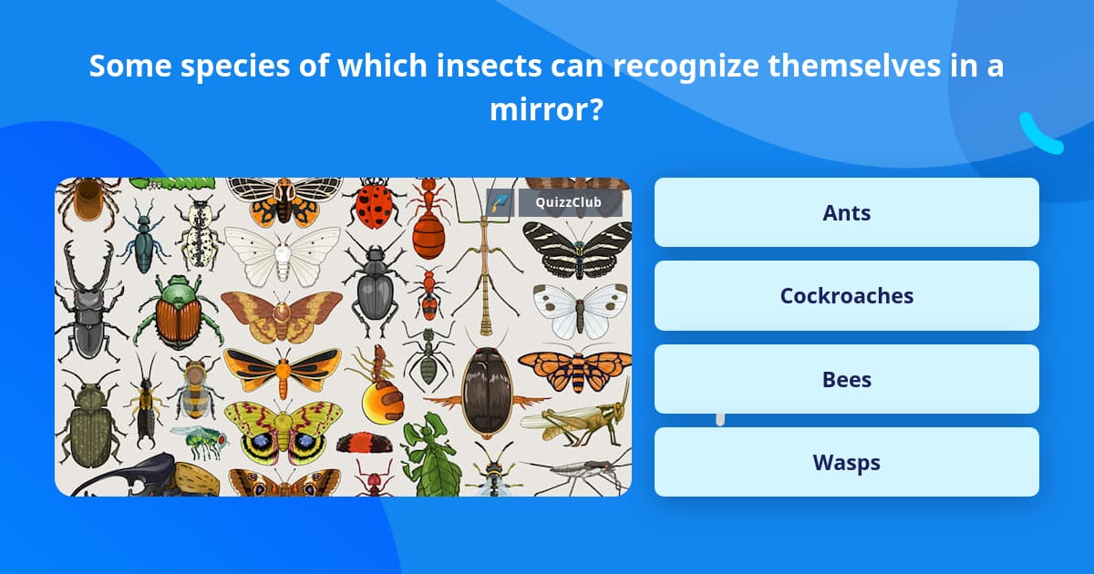 Some species of which insects can... | Trivia Answers | QuizzClub