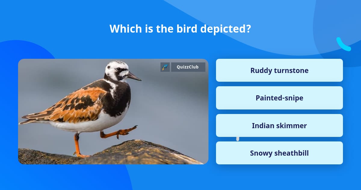 Which is the bird depicted? | Trivia Answers | QuizzClub