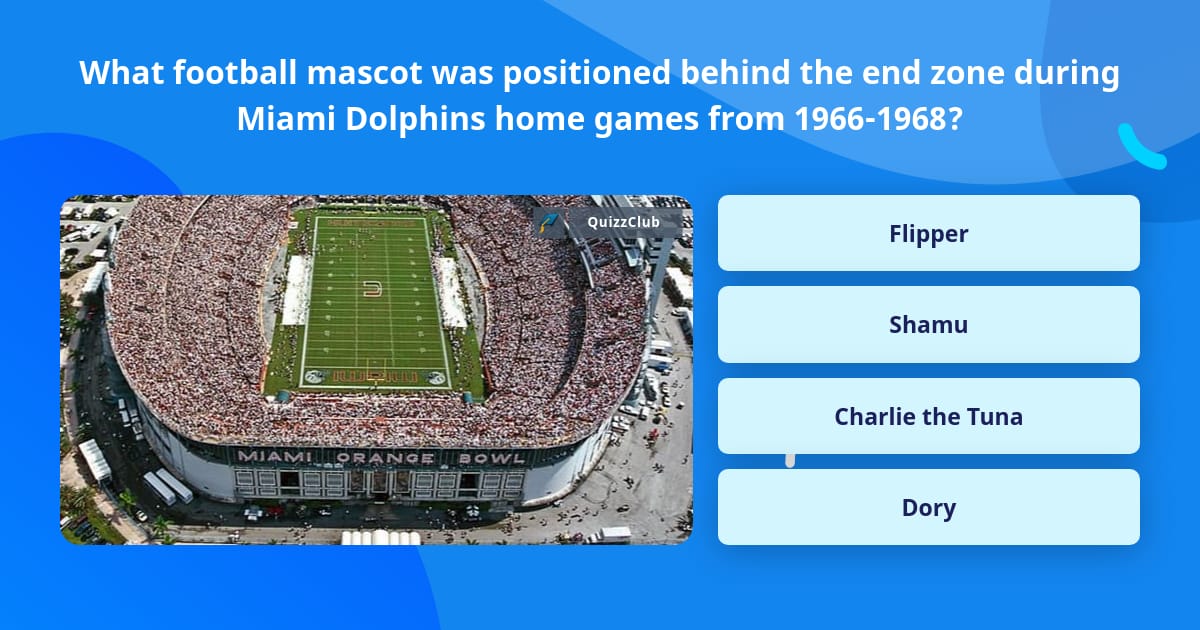 Miami Dolphins' NFL mascot was once a real dolphin, named Flipper