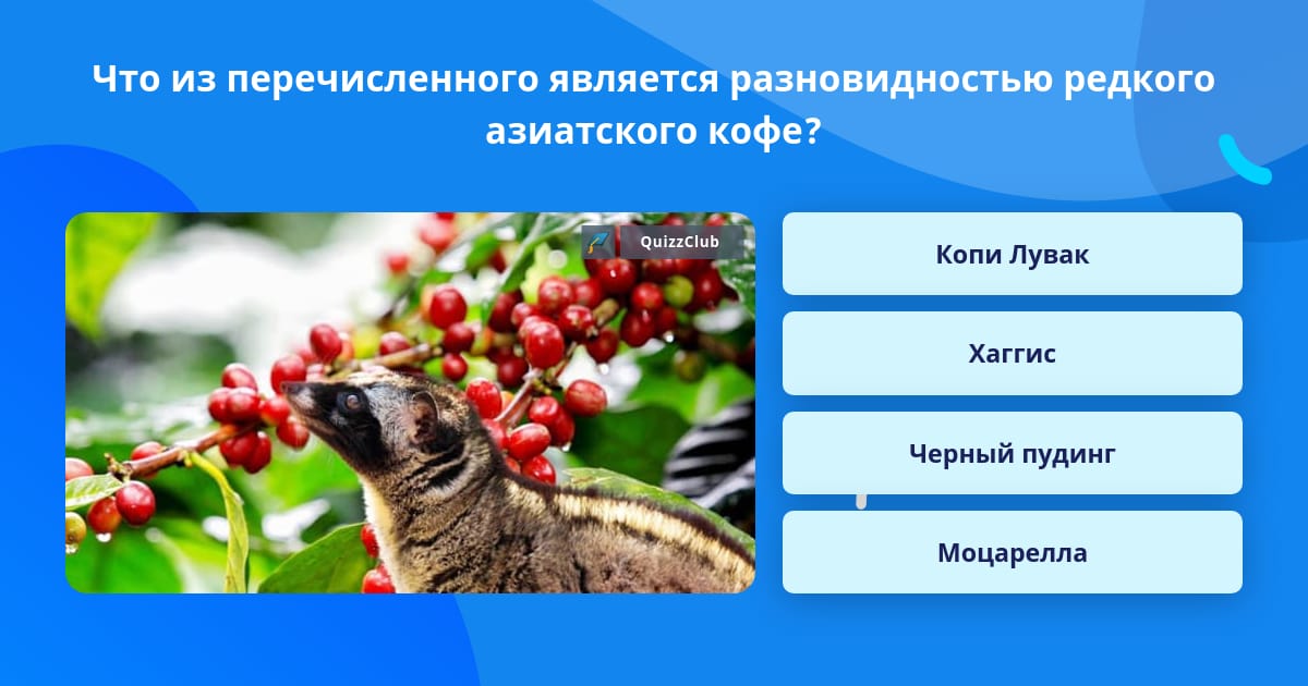 Укажите что из перечисленного может являться продуктом проекта