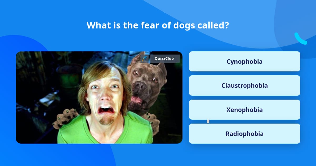 what is a fear of dogs called