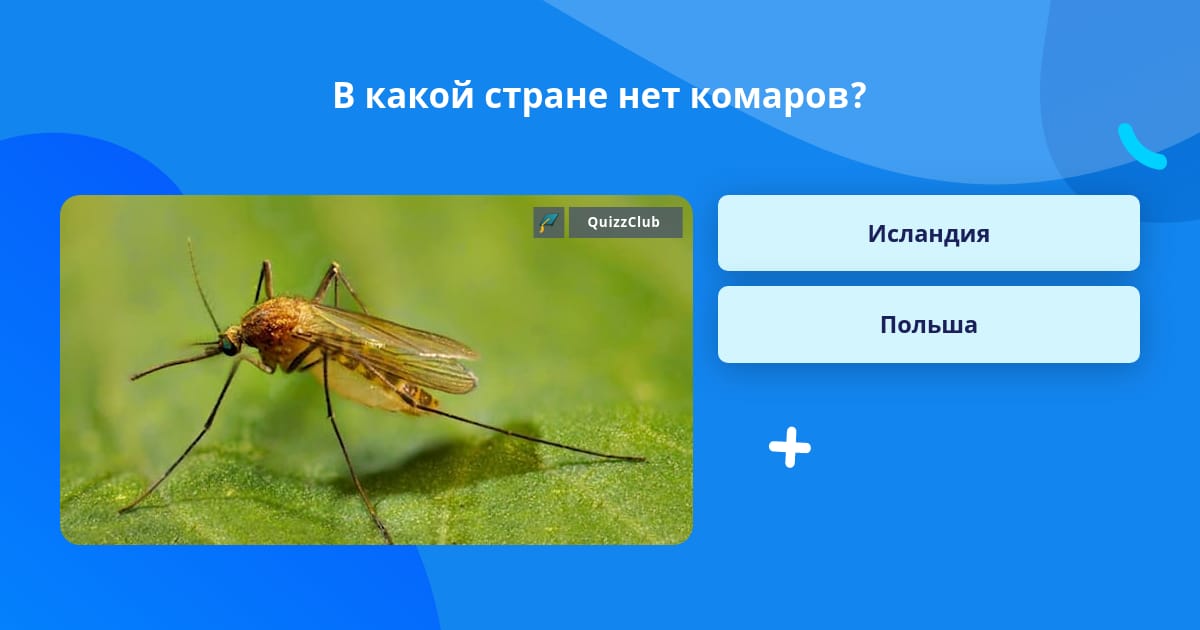 В какой стране нет лета. В какой стране нет лета