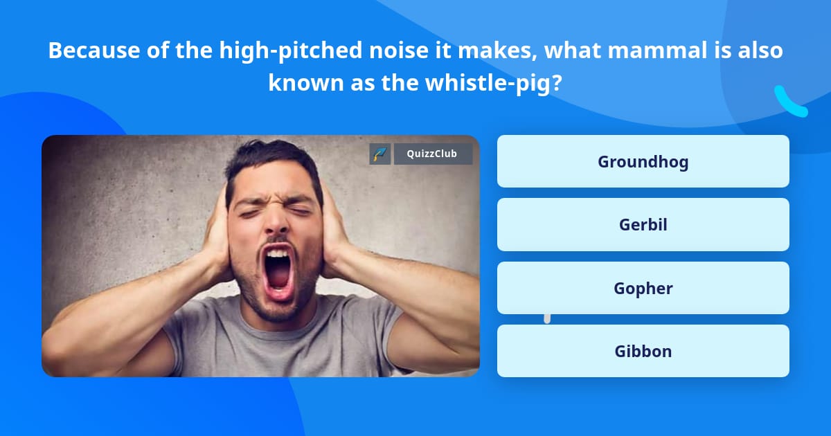 because-of-the-high-pitched-noise-it-trivia-answers-quizzclub