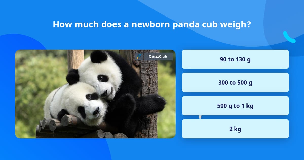 How much does a newborn panda cub weigh? | Trivia Answers | QuizzClub