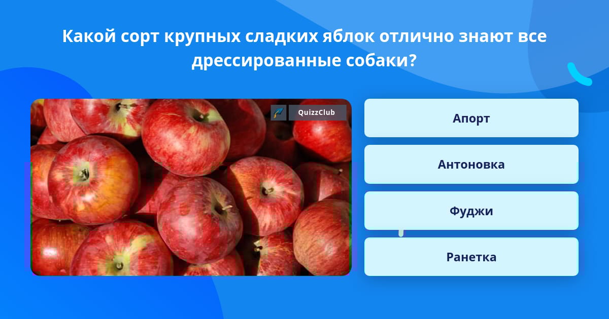 Какой сорт яблок сладкий Какой сорт яблок сладкий