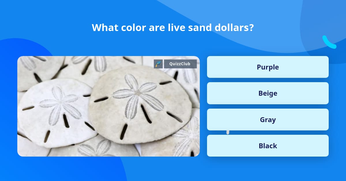 What Color Are Live Sand Dollars