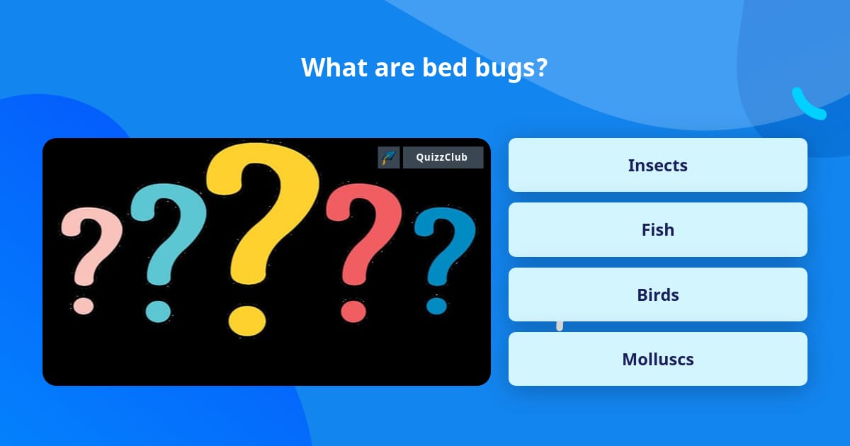 where-do-bed-bugs-come-from-how-can-a-infestation-can-spread