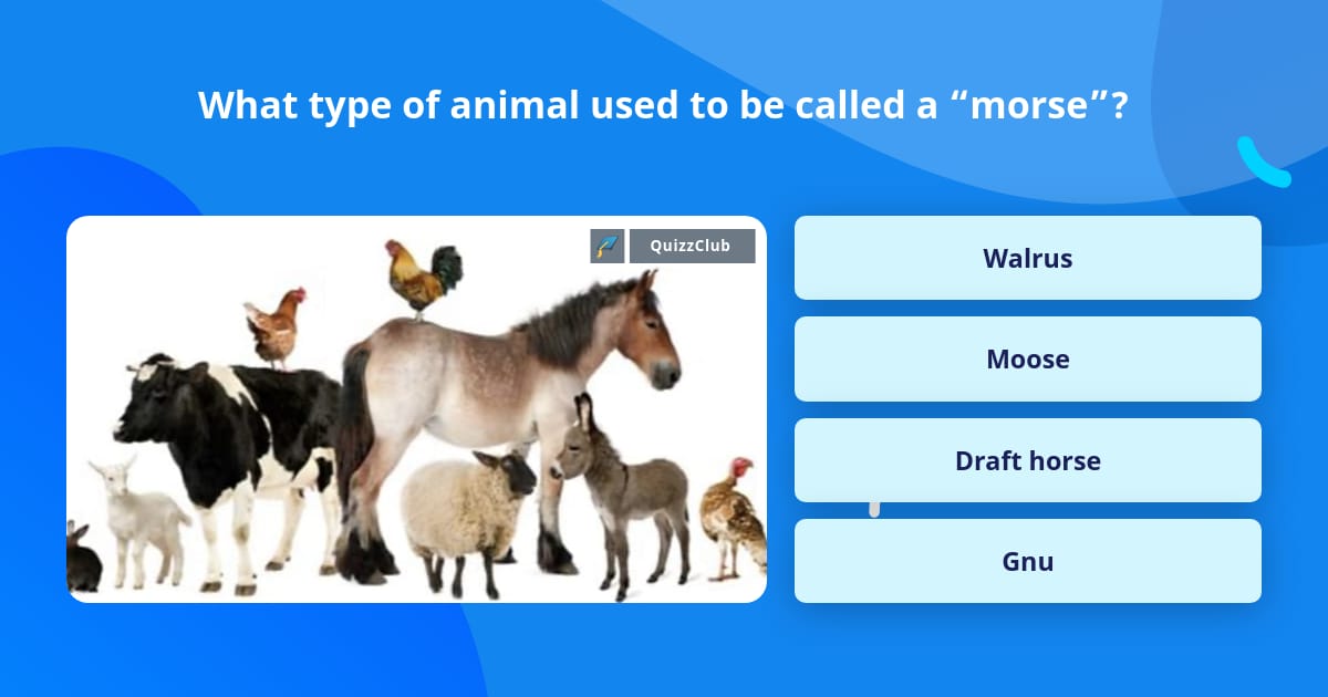 What type of animal used to be... | Trivia Answers | QuizzClub
