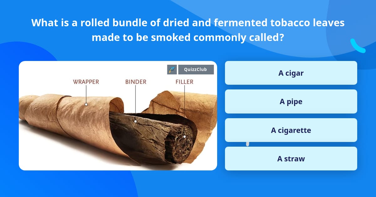 rolled bundle of tobacco What is a rolled bundle of dried and... | Trivia Questions