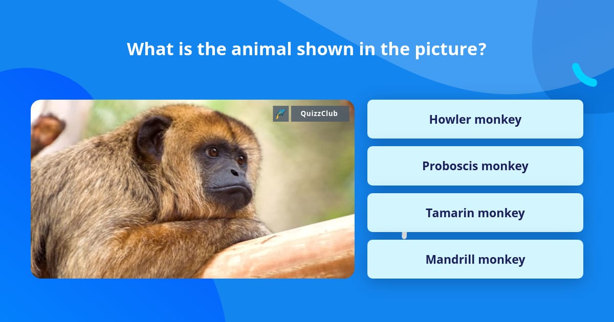 What is the animal shown in the picture? | Trivia Questions