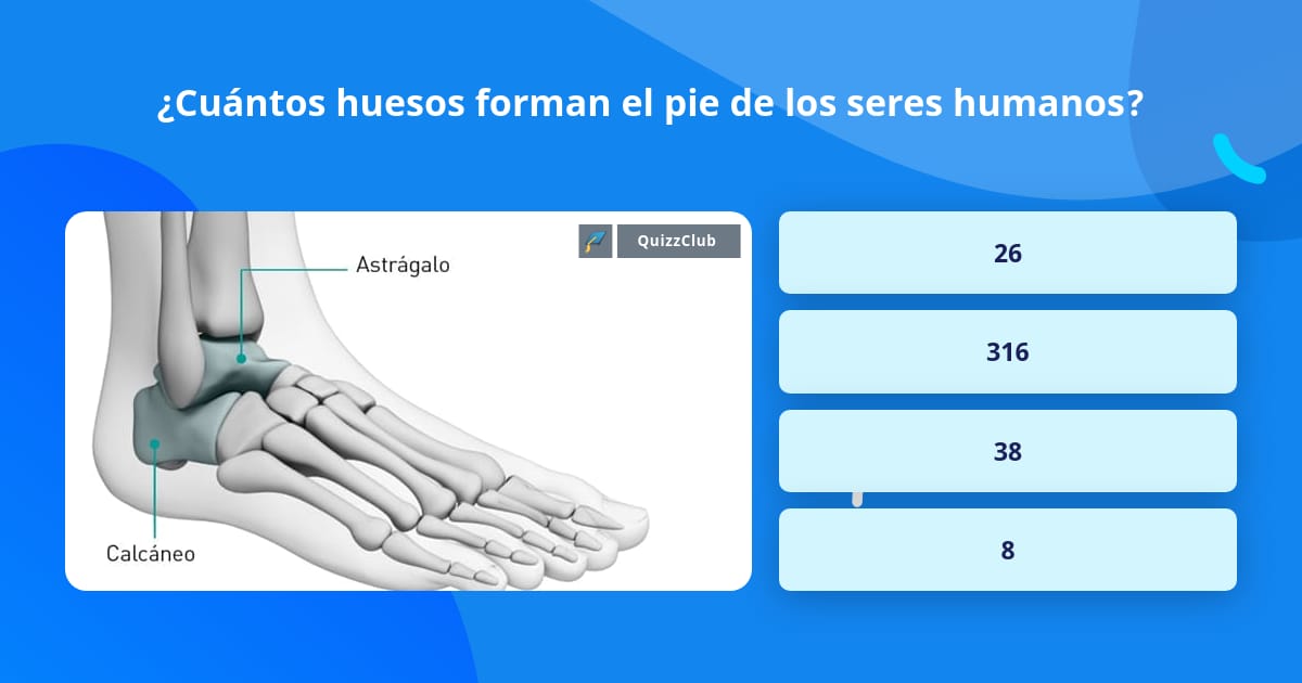 Cu Ntos Huesos Forman El Pie De Los La Respuesta De Trivia