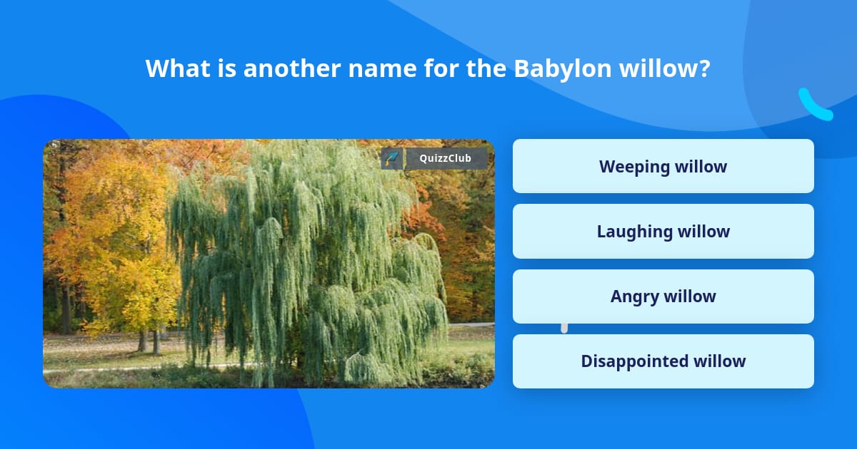 what-is-another-name-for-the-babylon-trivia-questions-quizzclub