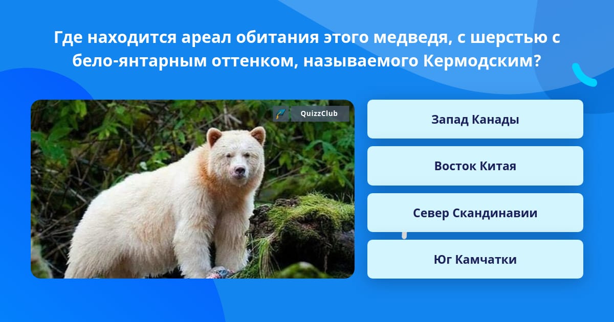 Как можно объяснить ареал обитания белого медведя
